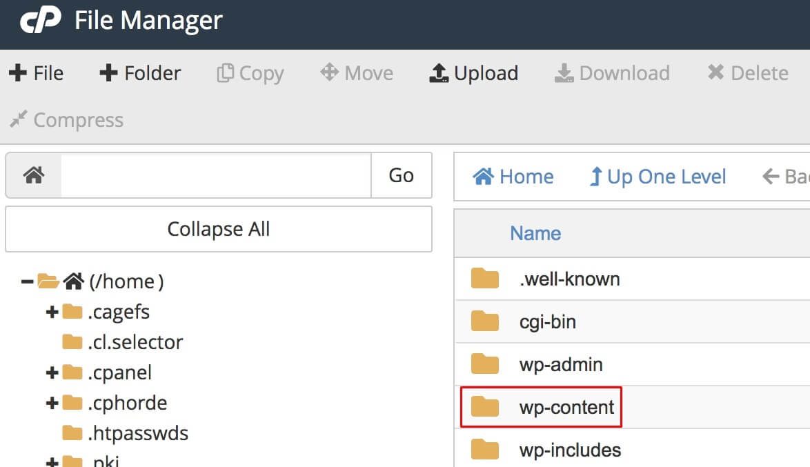 FTP File Manager wp content